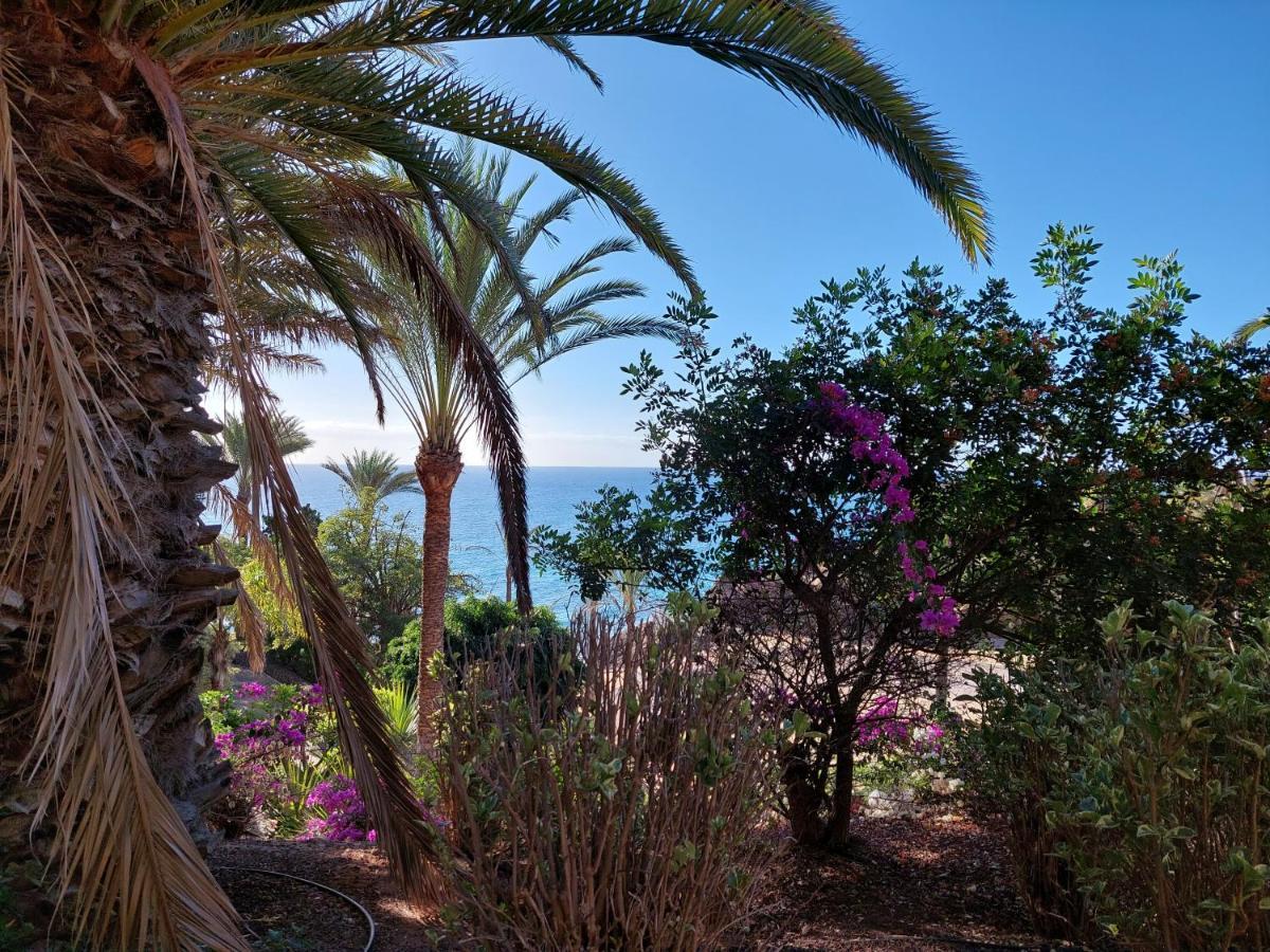 Estudio Espectacular Vista Mar Morro Jable  Dış mekan fotoğraf